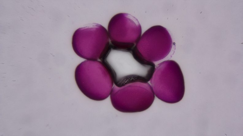 2015-03-02_14-27-56 M=C