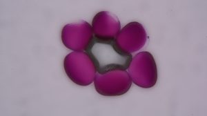 2015-03-02_14-29-01 M=A R=8 S=4