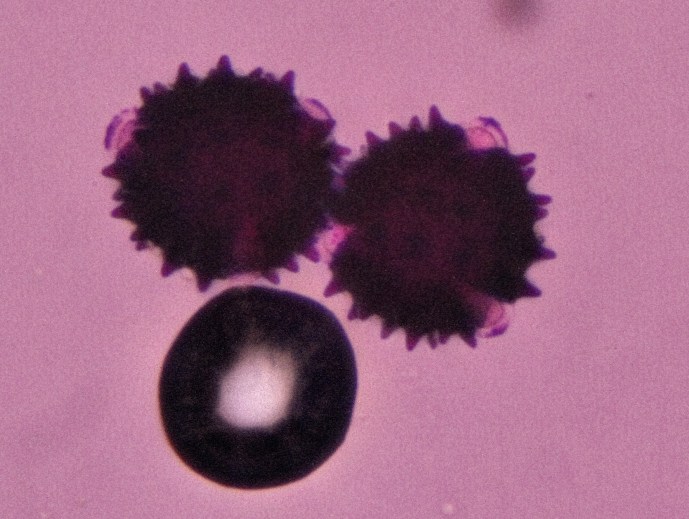 2015-09-24_21-31-24 M=C modified